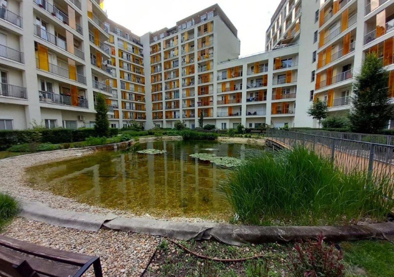 Summer Near The Danube